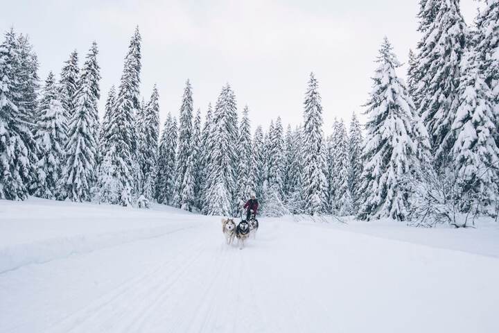 Snow and ski sports
