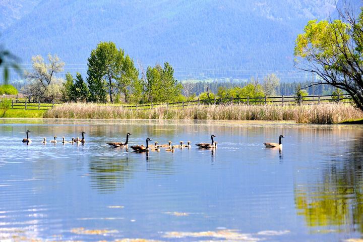 Lake