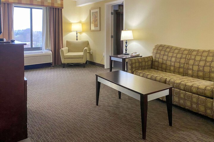 1 King Bed Suite (7 of 25)