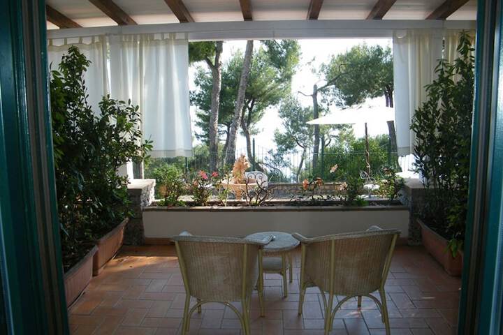 Terrace/Patio 42 of 90