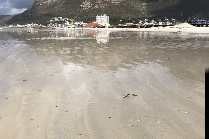 Beach 53 of 68