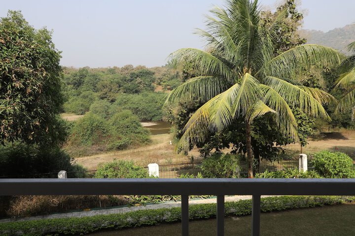 View from room