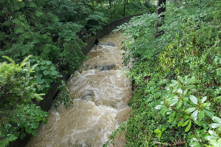 Property Grounds 14 of 18