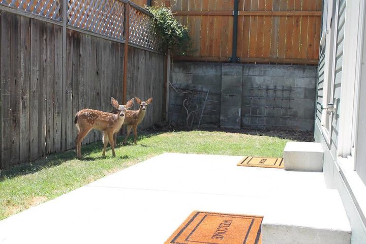 Property Grounds 14 of 22
