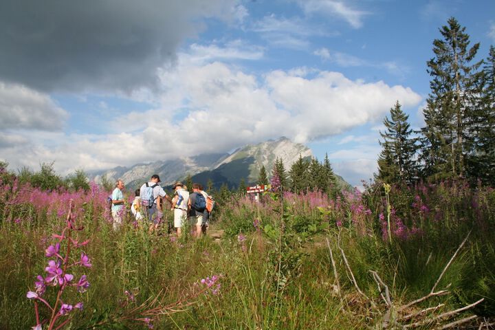 Outdoor Activities 12 of 60