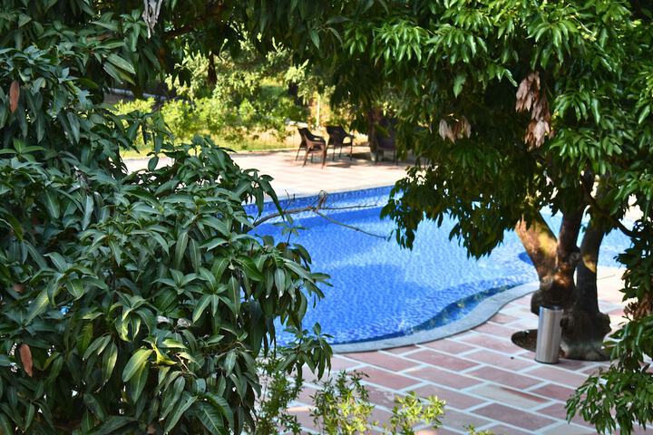 Pool 29 of 63
