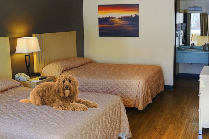 Pet Friendly 17 of 32