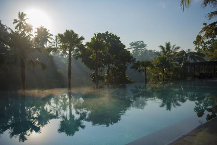 Pool 82 of 141