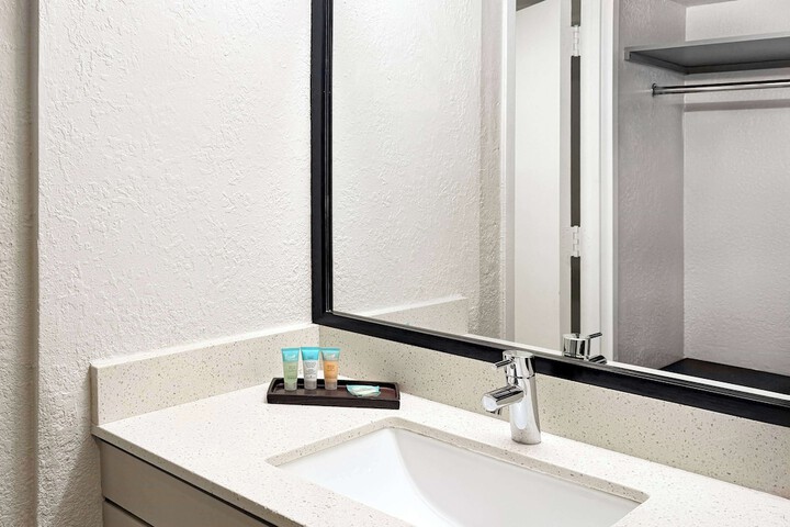 1 King Bed Mobility Accessible Bathtub with Grab Bars (6 of 24)