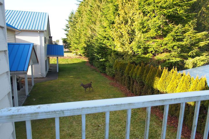 Property Grounds 26 of 34