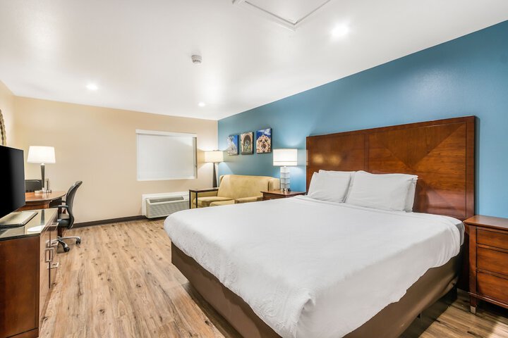1 King Bed Accessible (8 of 10)