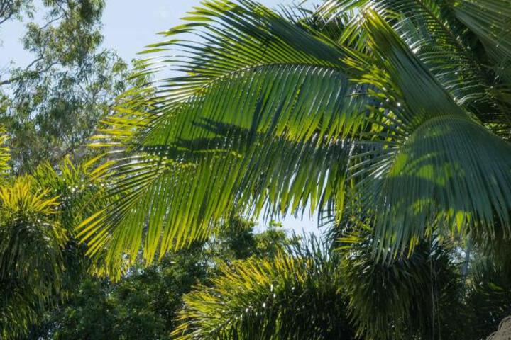 Photo 30