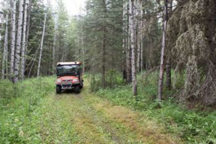 Property Grounds 48 of 67