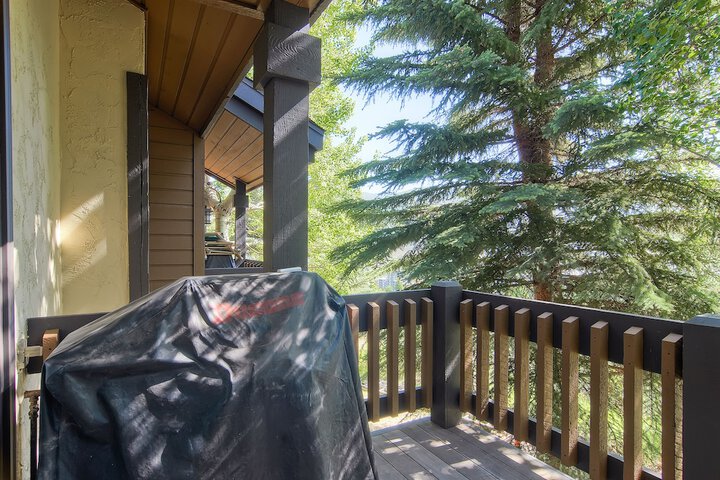 Terrace/Patio 114 of 194