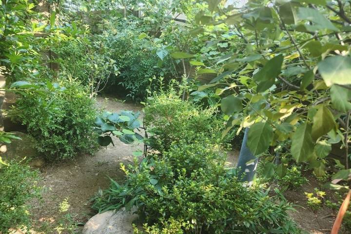 Terrace/Patio 60 of 80