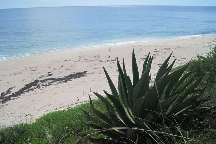 Beach 15 of 19