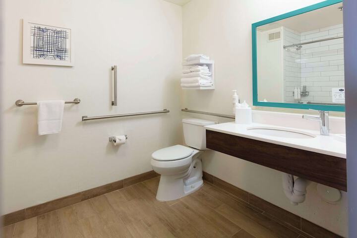 1 King Mobility Accessible with Tub (12 of 15)