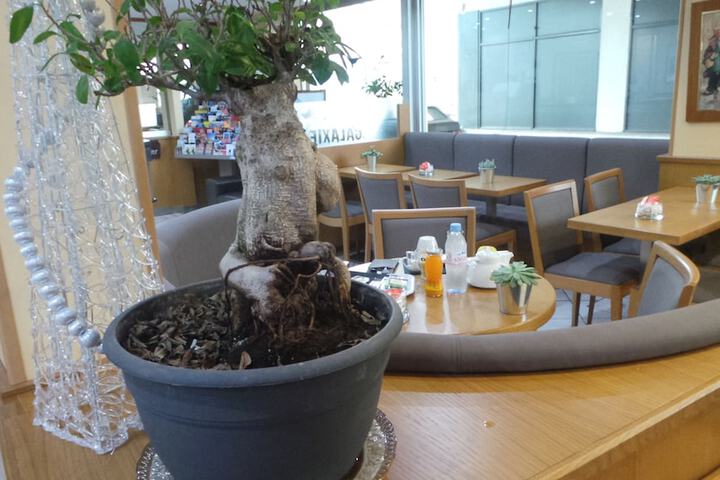 Restaurants