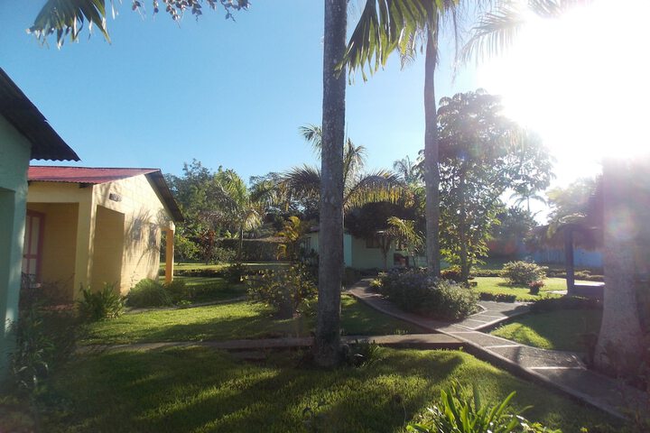Property Grounds 36 of 51