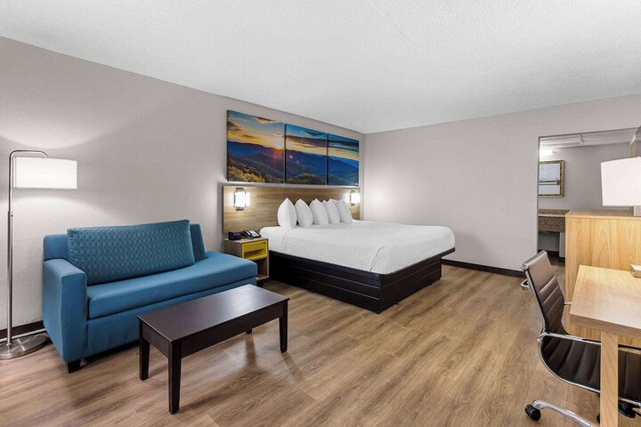 1 King Bed (3 of 10)
