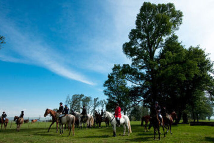 Property Grounds 40 of 49