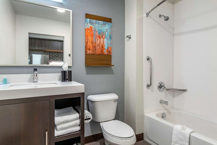 1 King Bed Efficiency Suite (7 of 9)
