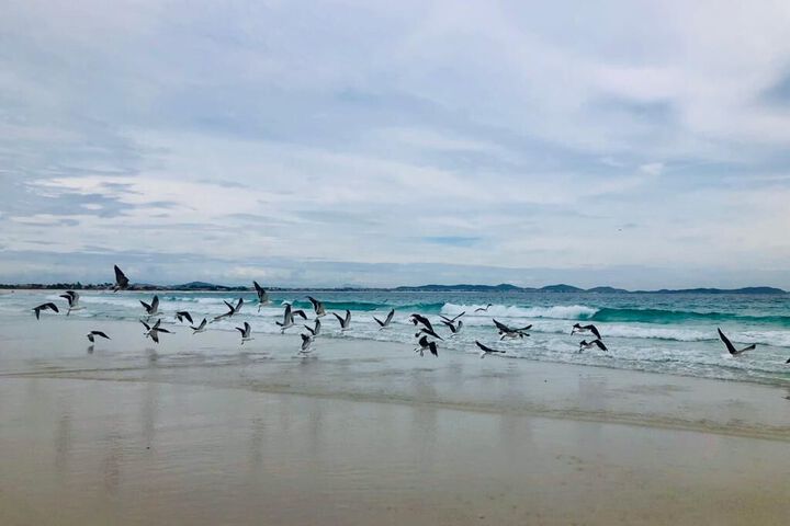 Beach 2 of 8