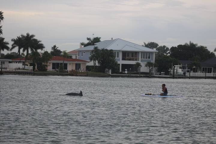 Pet Friendly 32 of 80