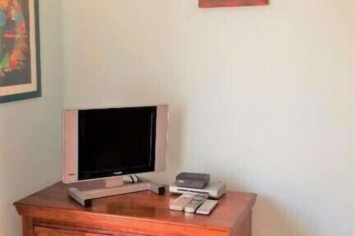 Television
