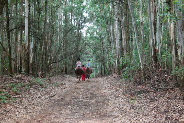 Horseback riding