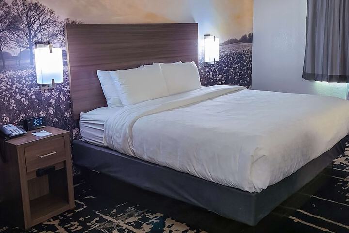 1 King Bed (7 of 14)
