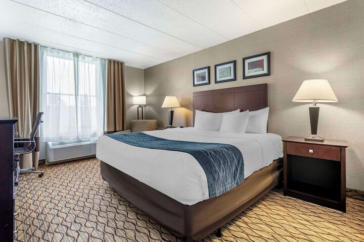 1 King Bed (6 of 10)