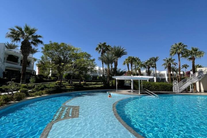 Pool 53 of 126