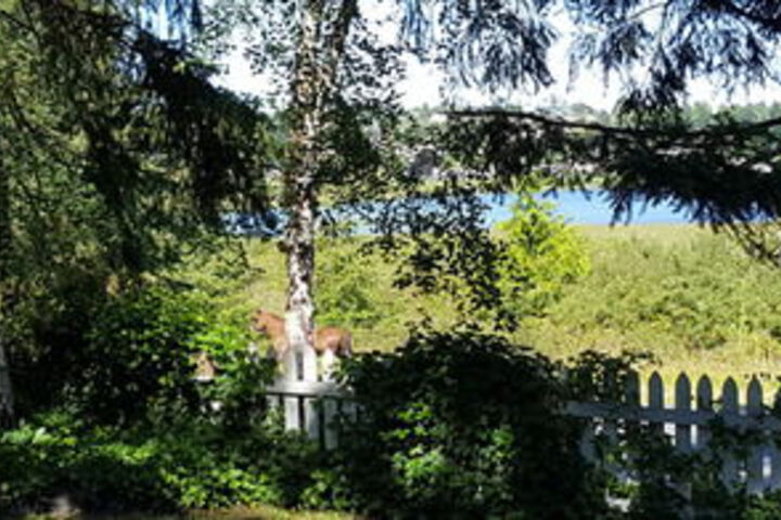 Property Grounds 81 of 126