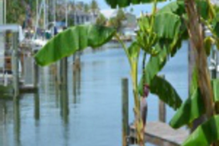 Hotel Exterior 25 of 576