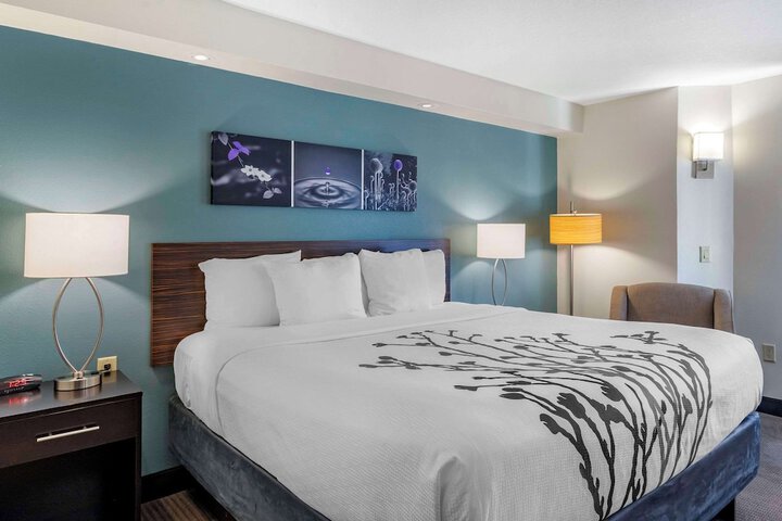 1 King Bed (1 of 10)