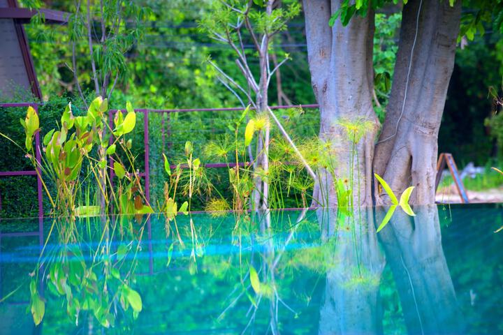 Pool 36 of 81