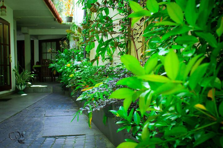 Terrace/Patio 13 of 33