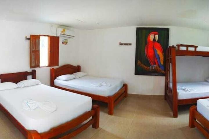 Room 6 of 37