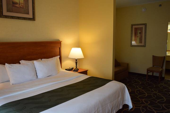 1 King Bed Suite with Sofa Bed (10 of 10)