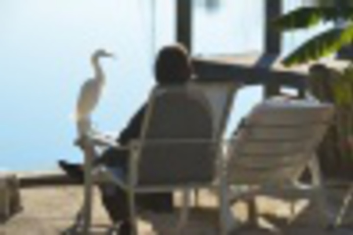 Property Grounds 28 of 576