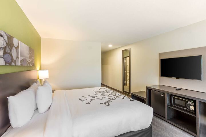 1 King Bed (1 of 13)