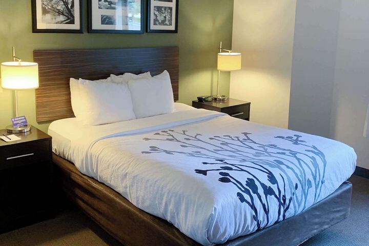 Queen Bed Accessible (4 of 18)
