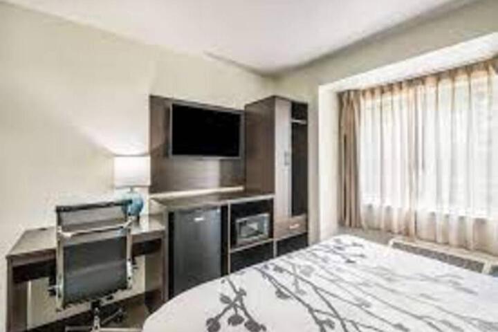 2 Queen Beds Accessible (4 of 50)