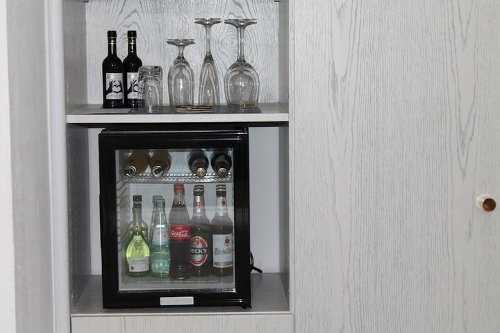 Mini-refrigerator