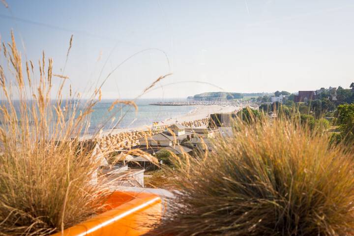 Beach 54 of 66