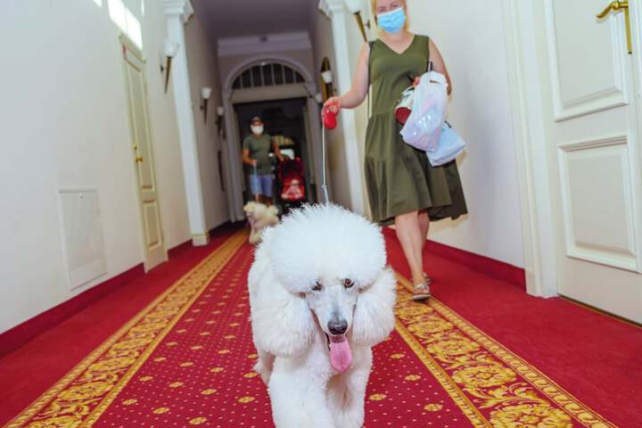 Pet Friendly 69 of 95
