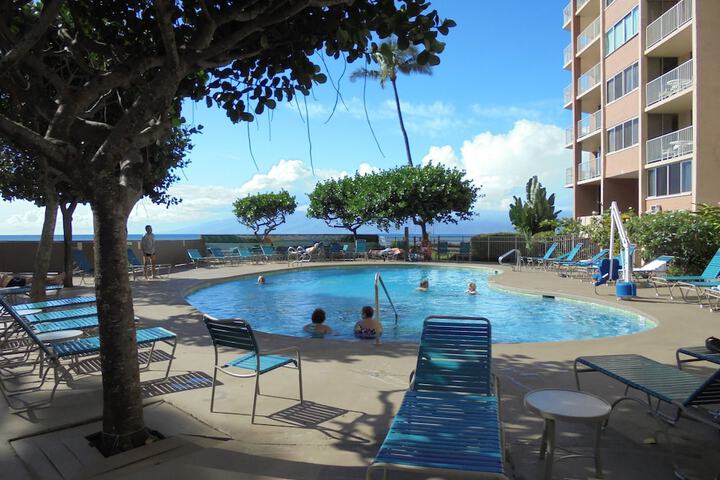 Pool 393 of 484