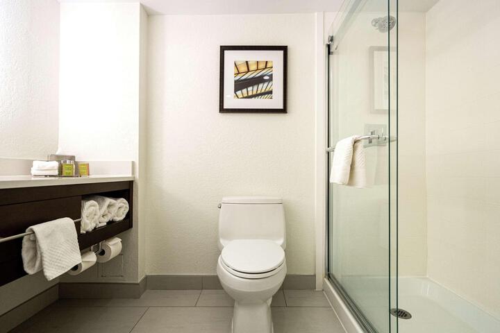 1 King Hearing Accessible with Sofa Bed (14 of 17)