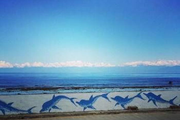 Beach or Ocean View